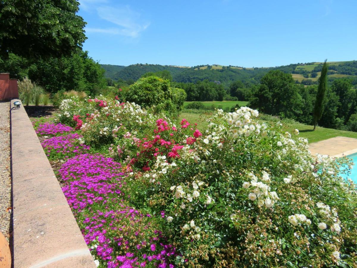 Domaine Les Causeries Laguépie Extérieur photo