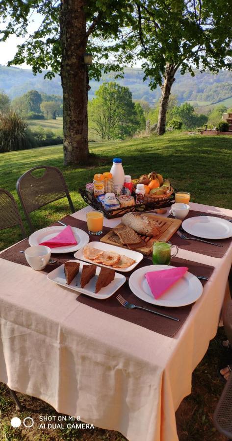 Domaine Les Causeries Laguépie Extérieur photo
