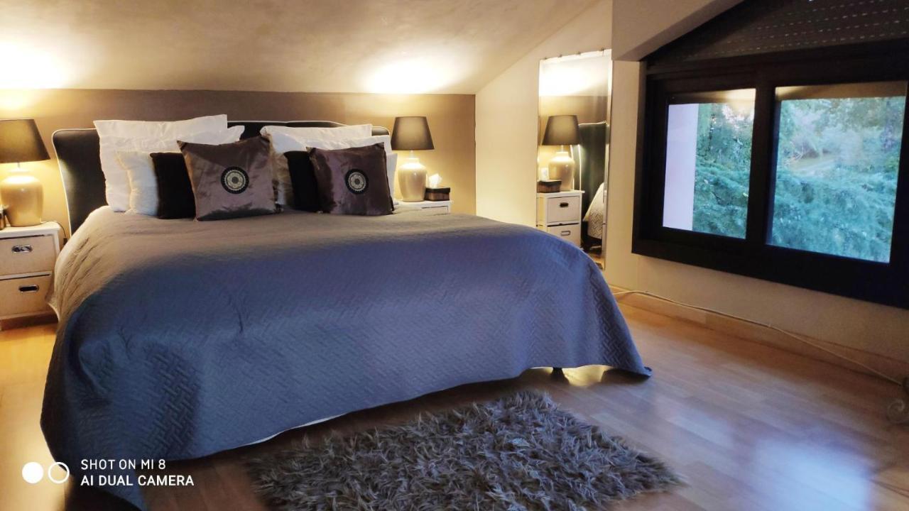 Domaine Les Causeries Laguépie Extérieur photo