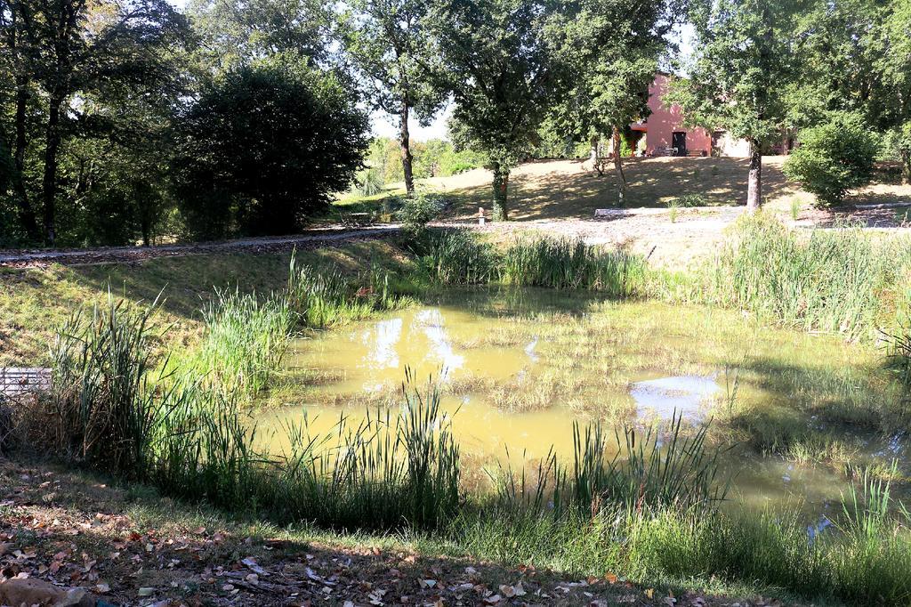 Domaine Les Causeries Laguépie Extérieur photo
